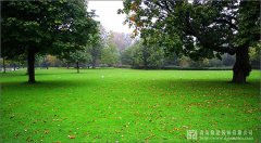 我國園林綠化苗木產業三大趨勢與八大特色