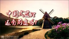 中國式監理，還有前途嗎？
